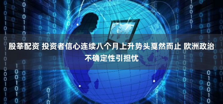 股莘配资 投资者信心连续八个月上升势头戛然而止 欧洲政治不确定性引担忧
